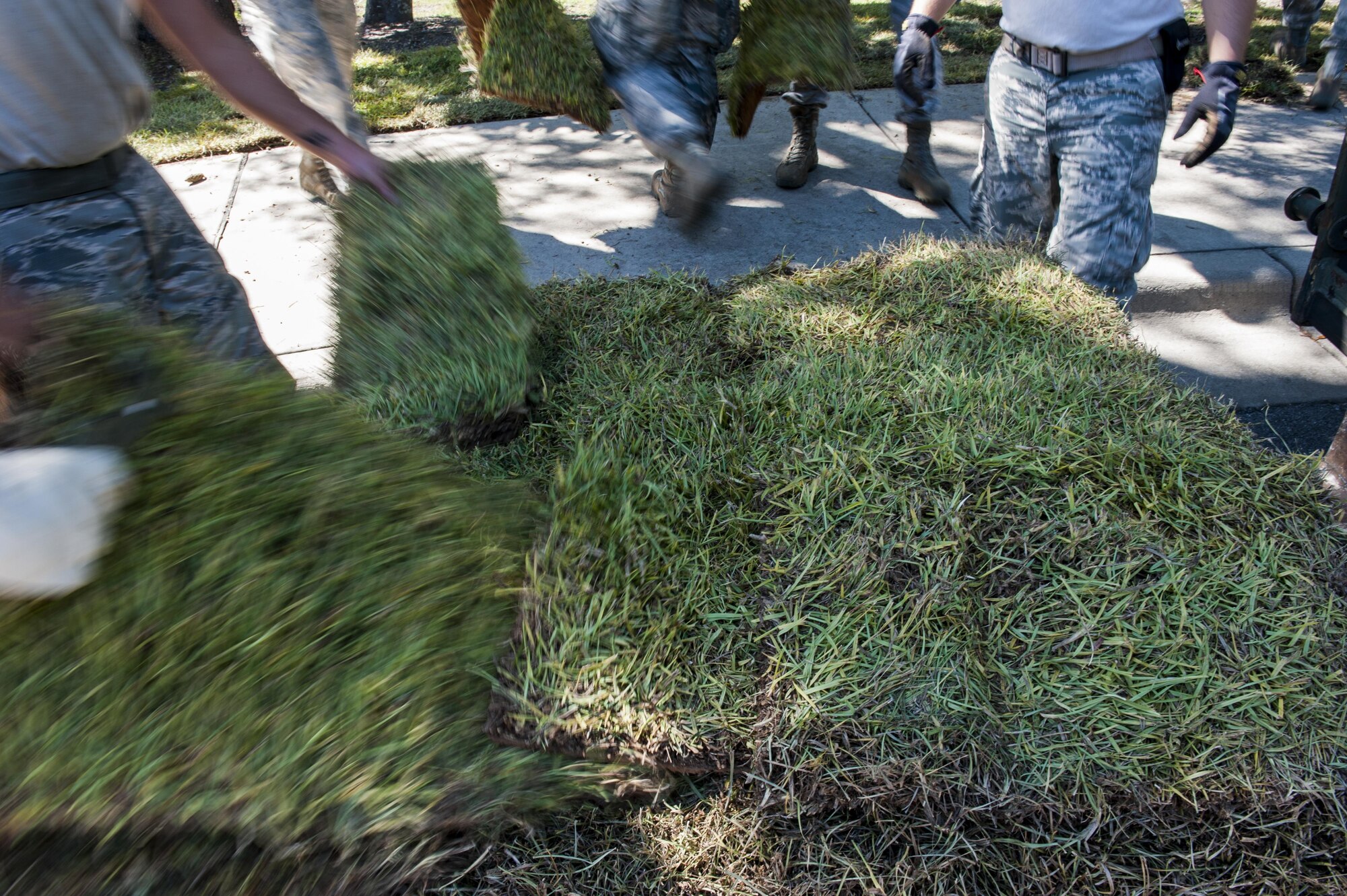 Airmen with the 1st Special Operations Civil Engineer Squadron lay sod at Hurlburt Field, Fla., Oct. 4, 2016. Civil engineer Airmen laid 34 pallets of sod outside the Soundside Club to replace dead grass. (U.S. Air Force photo by Airman 1st Class Joseph Pick)