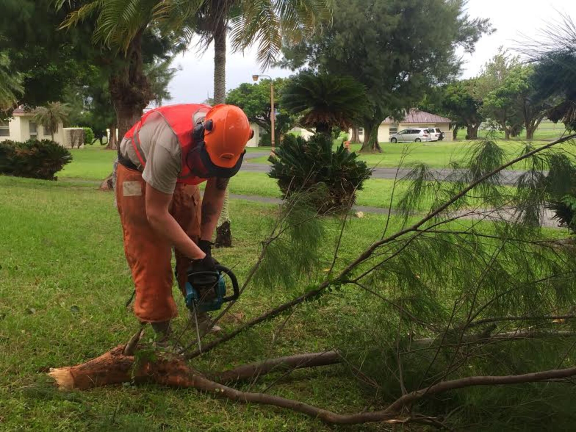 U.S. Air Force Staff Sgt. Collin Tompkins, a pavement maintenance and heavy equipment operator with the 18th Civil Engineer Squadron, saws apart a branch that was blown down by Typhoon Chaba, Oct. 5, 2016, at Kadena Air Base, Japan. The ride-out team completes their designated route after the announcement of TCCOR-1R, assessing damage to government property, downed powerlines or trees as well as any flooding. (U.S. Air Force photo by Airman 1st Class Corey Pettis) 