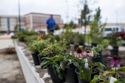 U.S. Army Reserve personnel with the Army Reserve Installation Management Directorate clean out old plants and bushes from existing planter boxes replacing them with Spring, Summer, and Fall perennials as part of National Public Lands Day at the U.S. Army Forces Command/U.S. Army Reserve Command headquarters, Sept. 28, 2016, at Fort Bragg, N.C. Jonelle Kimbrough, a communications specialist with ARIMD, said USARC received a $4,000 grant through the NPLD program. NPLD is the nation's largest, single-day volunteer effort for public lands to promote environmental stewardship. (U.S. Army photo by Timothy L. Hale)(Released)