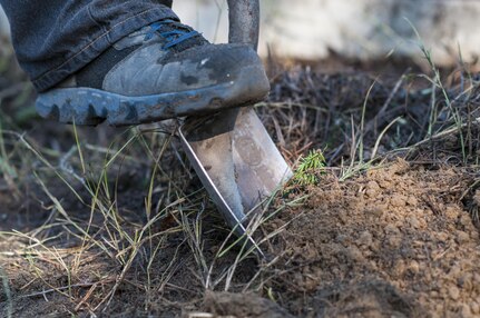 U.S. Army Reserve personnel with the Army Reserve Installation Management Directorate clean out old plants and bushes from existing planter boxes replacing them with Spring, Summer, and Fall perennials as part of National Public Lands Day at the U.S. Army Forces Command/U.S. Army Reserve Command headquarters, Sept. 28, 2016, at Fort Bragg, N.C. Jonelle Kimbrough, a communications specialist with ARIMD, said USARC received a $4,000 grant through the NPLD program. NPLD is the nation's largest, single-day volunteer effort for public lands to promote environmental stewardship. (U.S. Army photo by Timothy L. Hale)(Released)