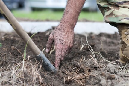 U.S. Army Reserve personnel with the Army Reserve Installation Management Directorate clean out old plants and bushes from existing planter boxes replacing them with Spring, Summer, and Fall perennials as part of National Public Lands Day at the U.S. Army Forces Command/U.S. Army Reserve Command headquarters, Sept. 28, 2016, at Fort Bragg, N.C. Jonelle Kimbrough, a communications specialist with ARIMD, said USARC received a $4,000 grant through the NPLD program. NPLD is the nation's largest, single-day volunteer effort for public lands to promote environmental stewardship. (U.S. Army photo by Timothy L. Hale)(Released)