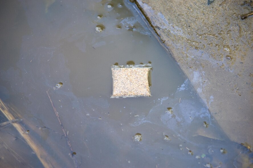 A packet containing 10 grams of VectoLex WSP, a selective microbial insecticide that kills mosquito larva, slowly dissolves in a puddle of standing water Oct. 6, 2016, in the Dover Family Housing area, Dover Air Force Base, Del. VectoLex WSP can effectively control mosquito species know to carry and/or transmit the West Nile Virus. Member of the 436th CES Entomology section combed the housing area up to the perimeter fence searching for standing water. (U.S. Air Force photo by Roland Balik)