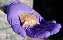 Airman 1st Class Harry Landry, 436th Civil Engineering Squadron pest control apprentice, holds a packet containing 10 grams of VectoLex WSP Oct. 6, 2016, in the Dover Family Housing area, Dover Air Force Base, Del. Members of the 436th CES Entomology section placed packets of VectoLex WSP, a selective microbial insecticide, anywhere standing water was present within the housing area. It can be applied to areas used by or in contact with humans, pets, horses, livestock, birds, wildlife, and in areas that contain fish, other aquatic life, and plants. (U.S. Air Force photo by Roland Balik)