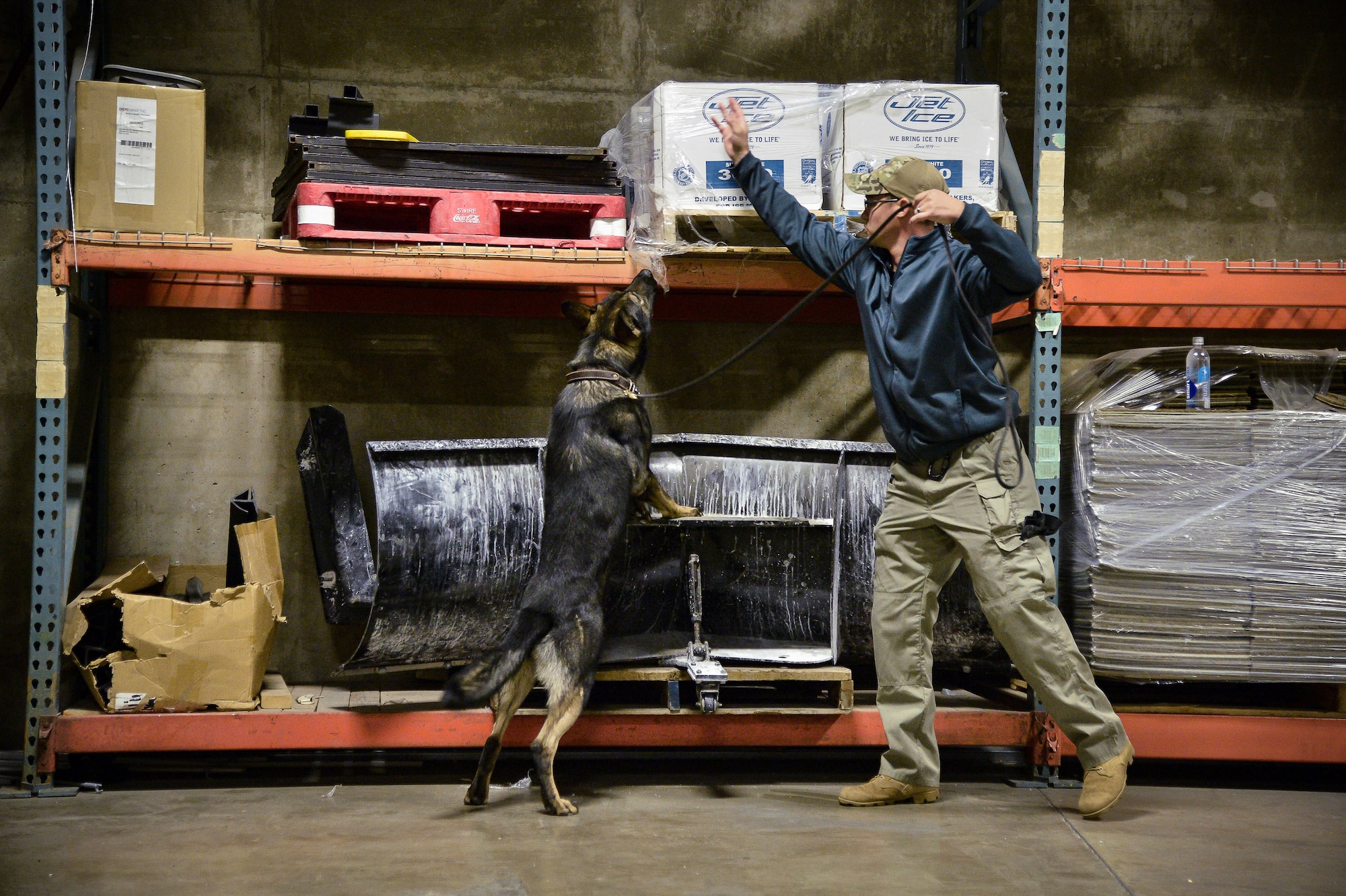 Staff Sgt. Dustin Braddy, 75th Security Forces Squadron, and his military working dog, Jimo, search for homemade explosives Oct. 6 at Vivint Smart Home Arena, Salt Lake City. Bureau of Alcohol, Tobacco, Firearms and Explosives National Canine Division has successfully imprinted over 3,000 Defense Department military working dogs on HME. (U.S. Air Force photo by R. Nial Bradshaw)