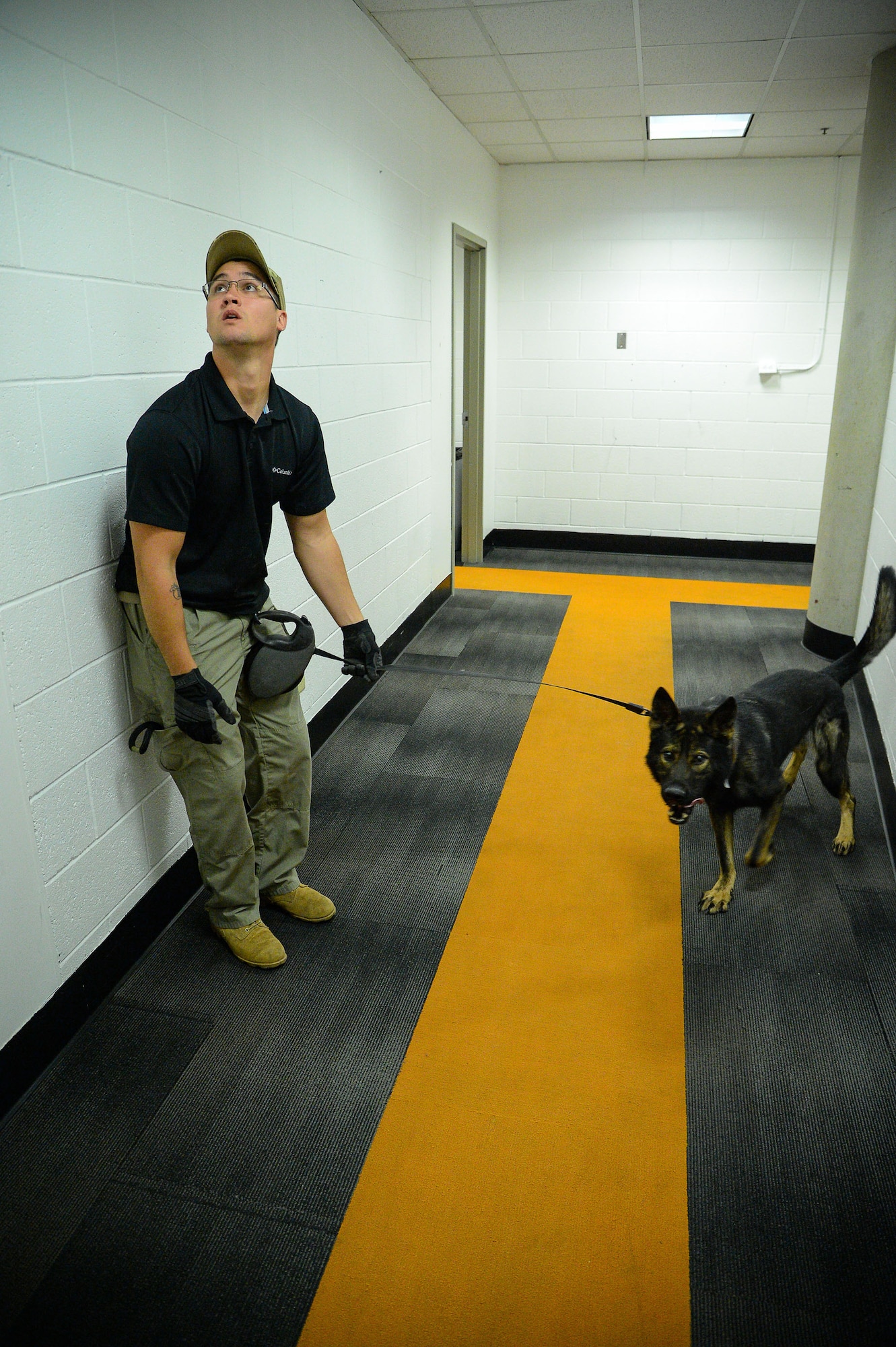 Staff Sgt. Dustin Braddy, 75th Security Forces Squadron, and his military working dog, Jimo, search for homemade explosives Oct. 6 at Vivint Smart Home Arena, Salt Lake City. Bureau of Alcohol, Tobacco, Firearms and Explosives National Canine Division has successfully imprinted over 3,000 Defense Department military working dogs on HME. (U.S. Air Force photo by R. Nial Bradshaw)