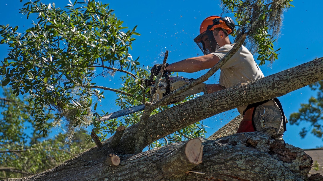 <strong>Photo of the Day: Oct. 10, 2016</strong><br/><br />
Air Force Senior Airman Jesse Steinberg removes a fallen tree following Hurricane Matthew at Joint Base Charleston, S.C., Oct. 9, 2016. Air Force photo by Airman 1st Class Sean Carnes
<br/><br /><a href="http://www.defense.gov/Media/Photo-Gallery?igcategory=Photo%20of%20the%20Day"> Click here to see more Photos of the Day. </a>