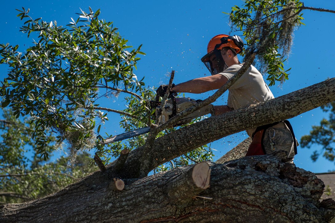 U.S. Air Force Senior Airman Jesse Steinberg, assigned to the 628th Civil Engineer Squadron, removes a fallen tree following Hurricane Matthew at Joint Base Charleston, S.C., Oct. 9, 2016. Air Force photo by Airman 1st Class Sean Carnes