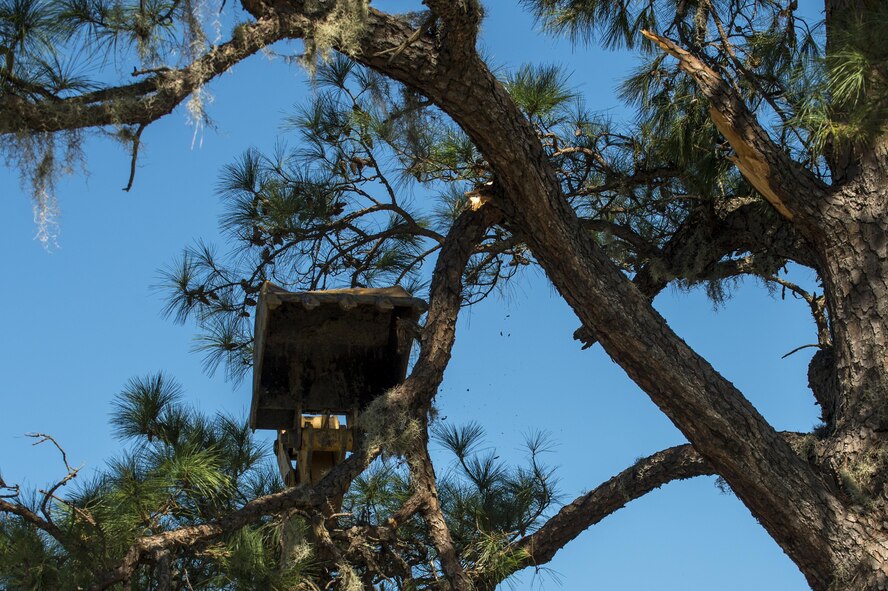 U.S. Air Force Master Sgt. Chris Moffett,  heavy equipment operator with the 628th Civil Engineer Squadron, tears down a broken tree limb after  Hurricane Mathew swept through Joint Base Charleston, S.C., Oct. 9, 2016. All non-essential personnel evacuated the area, but returned after disaster response coordinators assessed damage and verified a safe operating environment. 