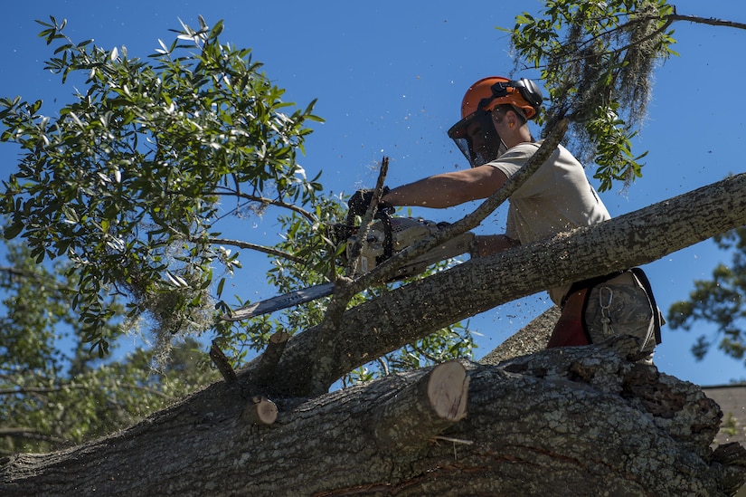 U.S. Air Force Senior Airman Jesse Steinberg, heavy equipment operators with the 628th Civil Engineer Squadron, removes a fallen tree after  Hurricane Mathew swept through Hunley Park-Air Base housing, S.C., Oct. 9, 2016.   All non-essential personnel evacuated the area, but returned after disaster response coordinators assessed damage and verified a safe operating environment. 