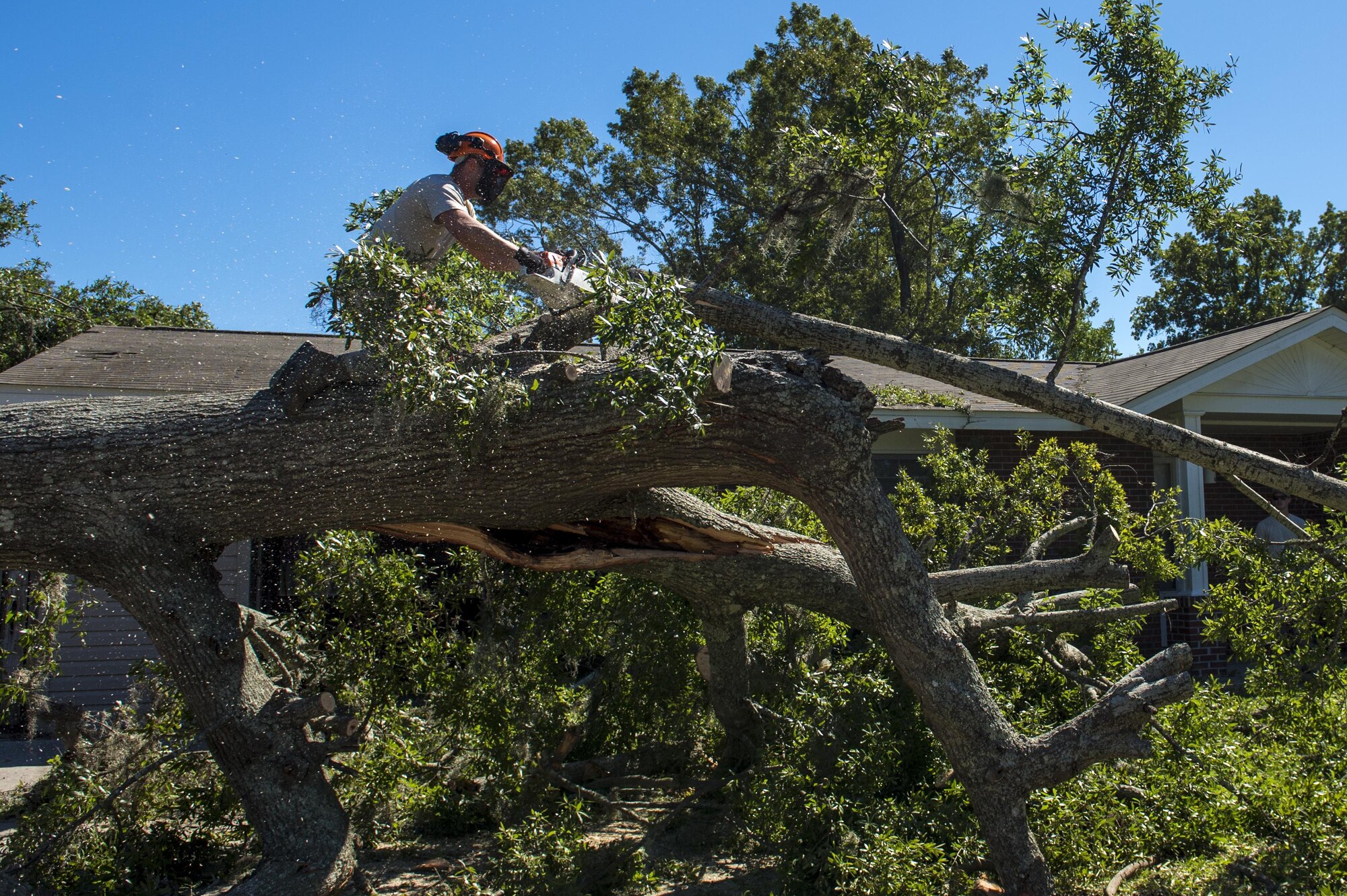 U.S. Air Force Senior Airman Jesse Steinberg, heavy equipment operators with the 628th Civil Engineer Squadron, removes a fallen tree after  Hurricane Mathew swept through Hunley Park-Air Base housing, S.C., Oct. 9, 2016.   All non-essential personnel evacuated the area, but returned after disaster response coordinators assessed damage and verified a safe operating environment.