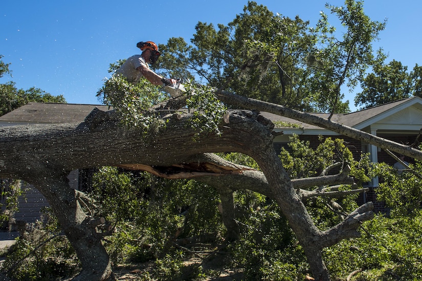 U.S. Air Force Senior Airman Jesse Steinberg, heavy equipment operators with the 628th Civil Engineer Squadron, removes a fallen tree after  Hurricane Mathew swept through Hunley Park-Air Base housing, S.C., Oct. 9, 2016.   All non-essential personnel evacuated the area, but returned after disaster response coordinators assessed damage and verified a safe operating environment.