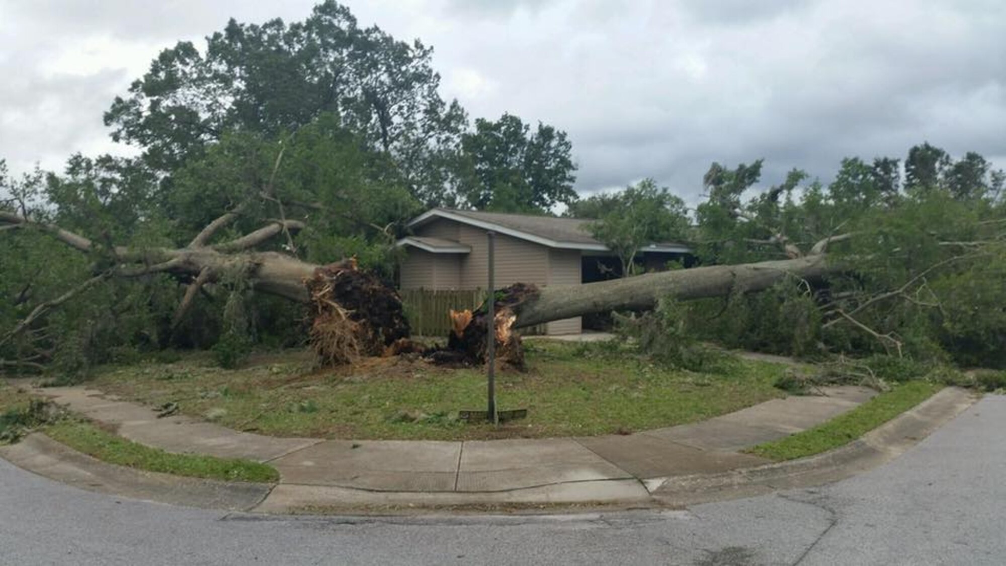 Fallen trees were were seen through the base housing area after Hurricane Matthew impacted Joint Base Charleston Oct. 8.