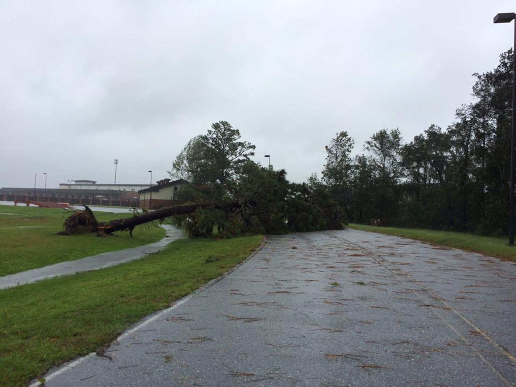 A fallen tree blocked a portion of S. Davis Dr. near the 1st Combat Camera Squadron building and the Aerial Port.