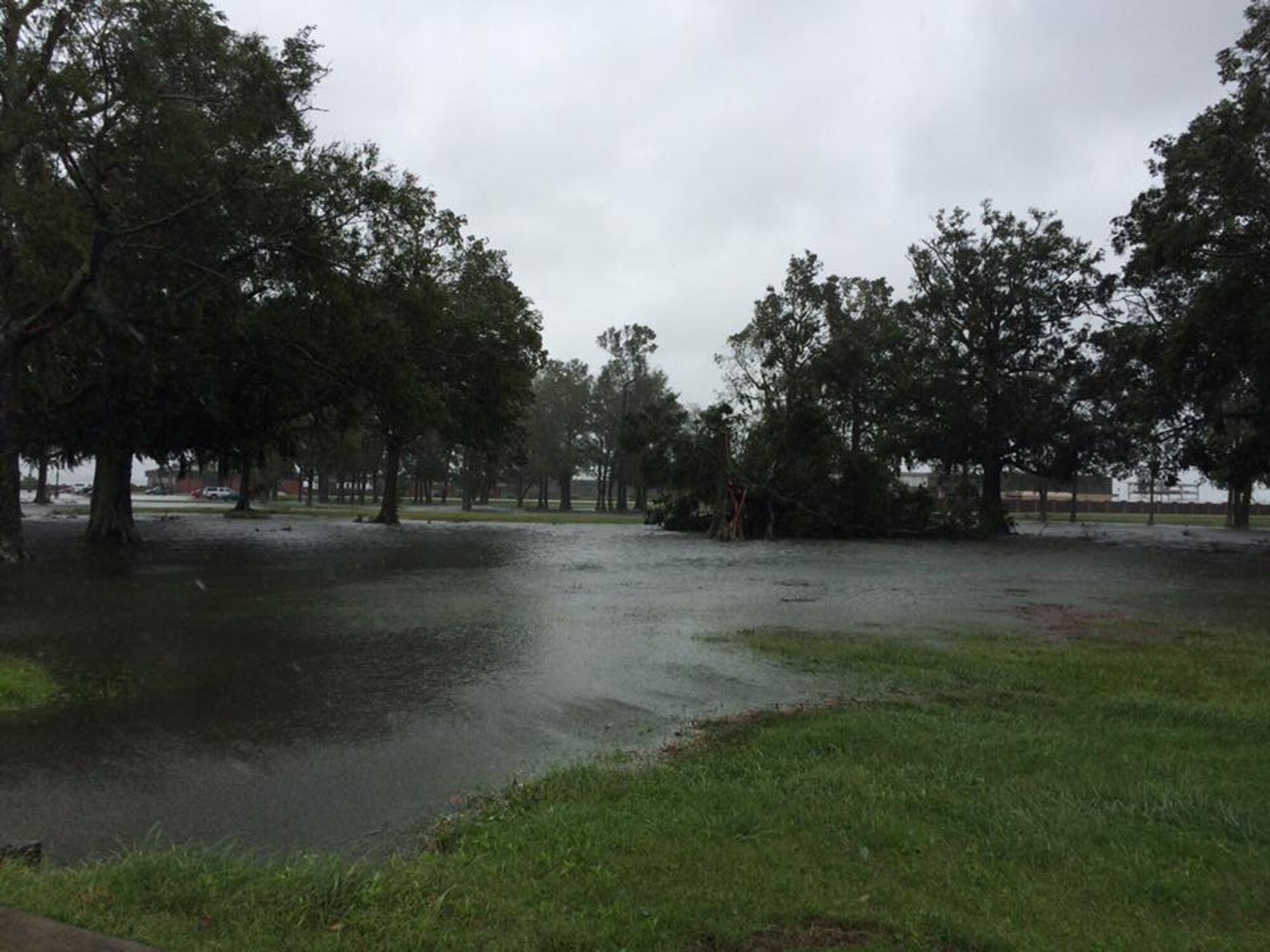 The low-lying grass area across the street from the Aerial Port was flooded as a result of Hurricane Mathew Oct. 8.