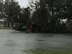 The low-lying grass area across the street from the Aerial Port was flooded and had fallen trees as a result of Hurricane Mathew Oct. 8.