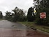 A fallen tree blocked Mitchell Dr. behind the base housing area as a result of Hurricane Mathew Oct. 8.