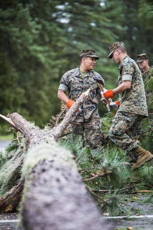 Marines clear debris from a main road aboard Marine Corps Air Station Beaufort Oct. 8. Marines and sailors with MCAS Beaufort worked to return the air station and Laurel Bay to normal operations. They removed debris and cleaned up main access roads to establish infrastructure after Hurricane Matthew.