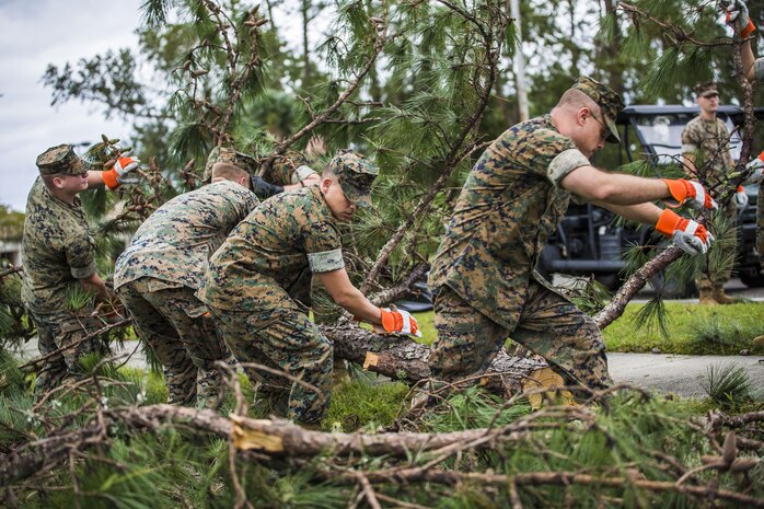 Marinesremove a part of a tree from a main road aboard Marine Corps Air Station Beaufort Oct. 8. Marines and sailors with MCAS Beaufort worked to return the air station and Laurel Bay to normal operations. They removed debris and cleaned up main access roads to establish infrastructure after Hurricane Matthew.