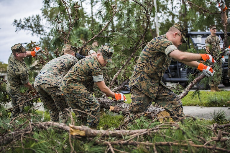 Marinesremove a part of a tree from a main road aboard Marine Corps Air Station Beaufort Oct. 8. Marines and sailors with MCAS Beaufort worked to return the air station and Laurel Bay to normal operations. They removed debris and cleaned up main access roads to establish infrastructure after Hurricane Matthew.