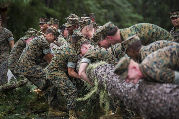 Marines remove a tree from main road aboard Marine Corps Air Station Beaufort Oct. 8. Marines and sailors with MCAS Beaufort worked to return the air station and Laurel Bay to normal operations. They removed debris and cleaned up main access roads to establish infrastructure after Hurricane Matthew.