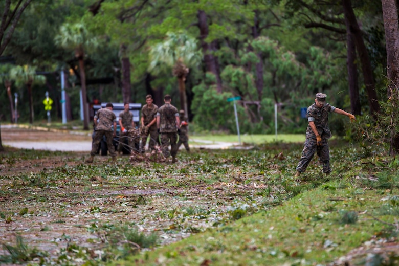 Marines clear debris from a main road aboard Marine Corps Air Station Beaufort Oct. 8. Marines and sailors with MCAS Beaufort worked to return the air station and Laurel Bay to normal operations.  They removed debris and cleaned up main access roads to establish infrastructure after Hurricane Matthew.