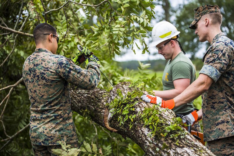 Marines remove a tree from a main road aboard Marine Corps Air Station Beaufort Oct. 8. Marines and sailors with MCAS Beaufort worked to return the air station and Laurel Bay to normal operations. They removed debris and cleaned up main access roads to establish infrastructure after Hurricane Matthew.