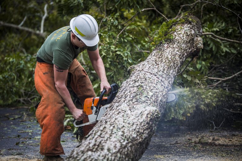 A Marine cuts a fallen tree at a main road aboard Marine Corps Air Station Beaufort Oct. 8. Marines and sailors with MCAS Beaufort worked to return the air station and Laurel Bay to normal operations. They removed debris and cleaned up main access roads to establish infrastructure after Hurricane Matthew.