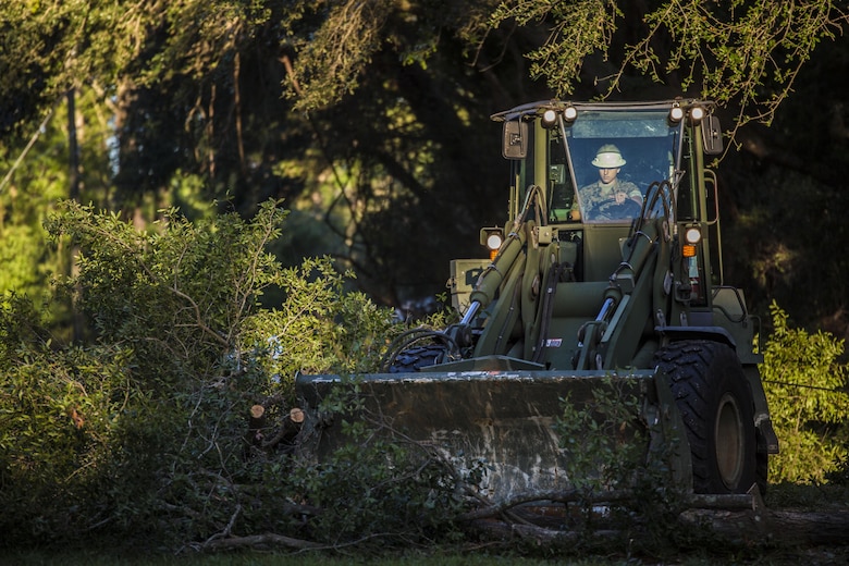 A Marine uses heavy equipment to remove a tree on a road aboard Marine Corps Air Station Beaufort Oct. 9. Marines and sailors with MCAS Beaufort continued to work to remove debris and establish infrastructure aboard the air station and Laurel Bay after Hurricane Matthew. 