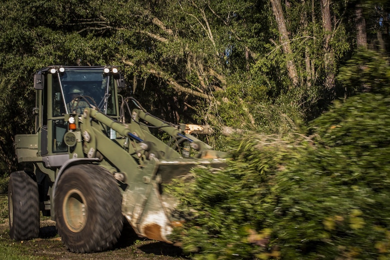A Marine uses heavy equipment to remove a tree on a road aboard Marine Corps Air Station Beaufort Oct. 9. Marines and sailors with MCAS Beaufort continued to work to remove debris and establish infrastructure aboard the air station and Laurel Bay after Hurricane Matthew. 