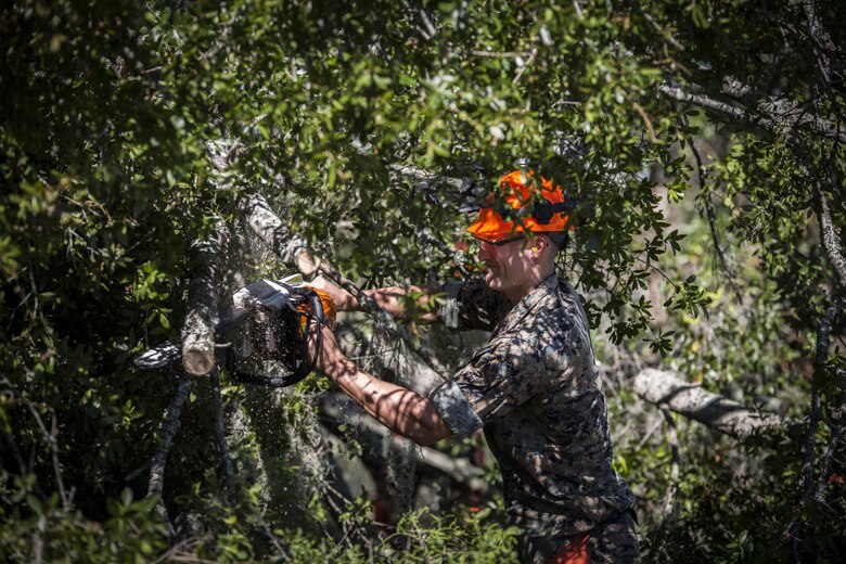 Sgt. John Wuestenberg uses a chainsaw to remove parts of a fallen tree aboard Marine Corps Air Station Beaufort Oct. 9. Marines and sailors with MCAS Beaufort continued to work to remove debris and establish infrastructure aboard the air station and Laurel Bay after Hurricane Matthew. Wuestenberg is a field radio operator with Marine Wing Support Detachment 31, Marine Aircraft Group 31. 