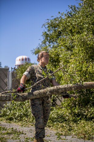 Cpl. Olivia Ortiz removes part of a fallen tree from a parking lot aboard Marine Corps Air Station Beaufort Oct. 9. Marines and sailors with MCAS Beaufort continued to work to remove debris and establish infrastructure aboard the air station and Laurel Bay after Hurricane Matthew. Ortiz is a photography chief with Combat Camera, Headquarters and Headquarters Squadron.