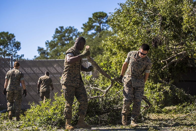 Marines clear a tree from a parking lot aboard Marine Corps Air Station Beaufort Oct. 9. Marines and sailors with MCAS Beaufort continued to work to remove debris and establish infrastructure aboard the air station and Laurel Bay after Hurricane Matthew. The Marines are with Headquarters and Headquarters Squadron.