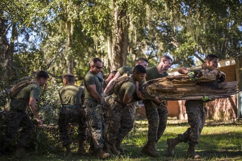 Marines remove a fallen tree from a backyard aboard Laure Bay Oct. 9. Marines and sailors with Marine Corps Air Station Beaufort continued to work to remove debris and establish infrastructure aboard the air station and Laurel Bay after Hurricane Matthew. 