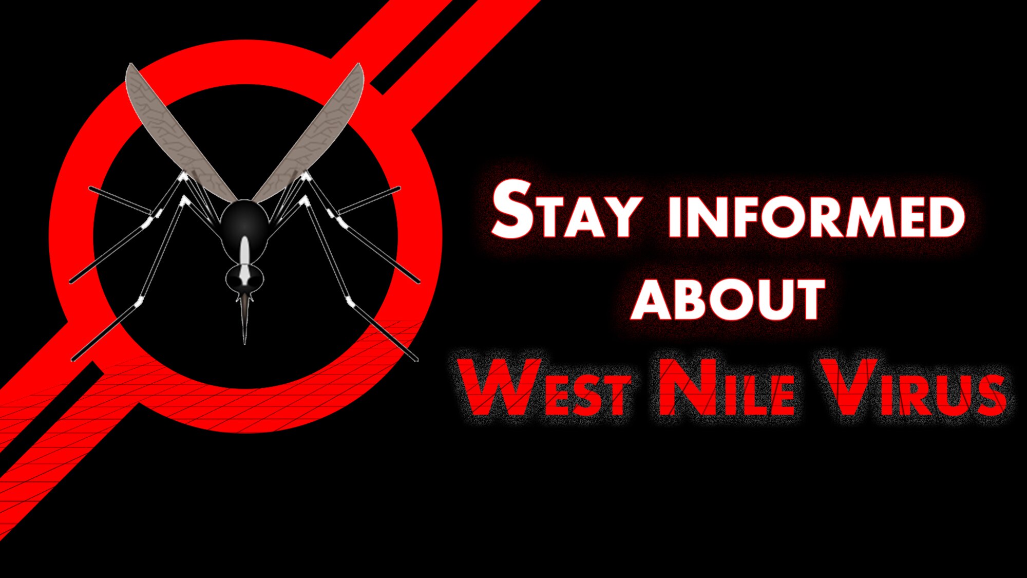 The 49th Medical Group's Public Health Office offers some tips for Holloman Airmen to stay informed about the West Nile Virus. (U.S. Air Force graphic by Senior Airman Aaron Montoya)