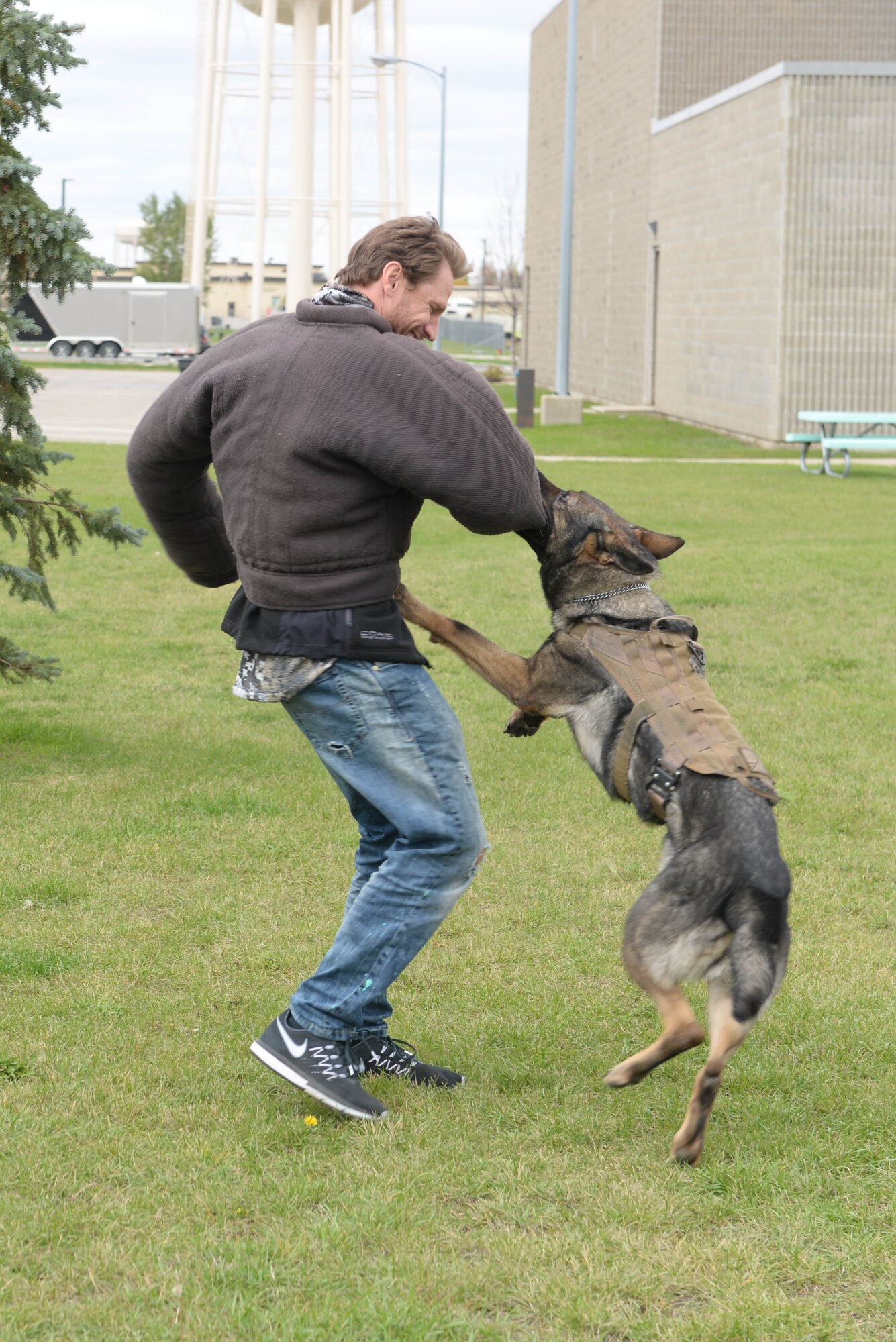 Country artist Chase Rice is bit during a MWD demonstration at Minot Air Force Base, N.D., Oct. 8, 2016. During the visit, Rice and his crew toured the dining facility, armory and kennels, before signing autographs for fans at the Base Exchange. (U.S Air Force photo/Airman 1st Class Jessica Weissman)
