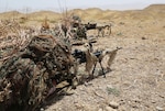 Peshmerga soldiers acquire targets by using the  scopes on their M14 Enhanced Battle Rifle during the sniper portion of a combined arms training exercise near Erbil, Iraq, July 26, 2016. The combined arms exercise allowed trainers to review the soldiers’ understanding of all the training conducted over the past several weeks during the modern brigade course. Combined Joint Task Force – Operation Inherent Resolve aims to enable and equip indigenous forces to take the Islamic State of Iraq and the Levant head on while leveraging Coalition nation airpower to halt the terrorist’s momentum. (U.S. Army photo by Sgt. Kalie Jones/Released)