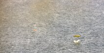 A low-cost, low-altitude bundle splashes down on target within the designated drop zone location near Cebu, Philippines, as part of the current iteration of a rotational Air Contingent in the Philippines Oct. 5, 2016. LCLA bundles are cost-effective means to reach austere drop zone locations without the need to land the aircraft and are a staple of C-130 operations for members of the 36th Airlift Squadron, 374th Airlift Wing, Yokota Air Base, Japan. For the exchange, Yokota-based C-130s and crew flew with members of the Philippine Air Force's 220th Airlift Wing, from Brig. Gen. Benito N. Ebuen Air Base, Lapu-Lapu City, Philippines, and discussed the intricacies of LCLA bundle drops. Two Yokota C-130s and crews, the 36th Contingency Response Group from Andersen Air Force Base, Guam, and other units from across U.S. Pacific Command conducted bilateral training missions and subject matter expert exchanges alongside their Philippine Air Force counterparts. The Air Contingent is helping build the capacity of the Philippine Air Force and increases joint training, promotes interoperability and provides greater and more transparent air and maritime situational awareness to ensure safety for military and civilian activities in international waters and airspace. Its missions include air and maritime domain awareness, personnel recovery, combating piracy, and assuring access to the air and maritime domains in accordance with international law. (U.S. Air Force photo by Capt. Mark Lazane)