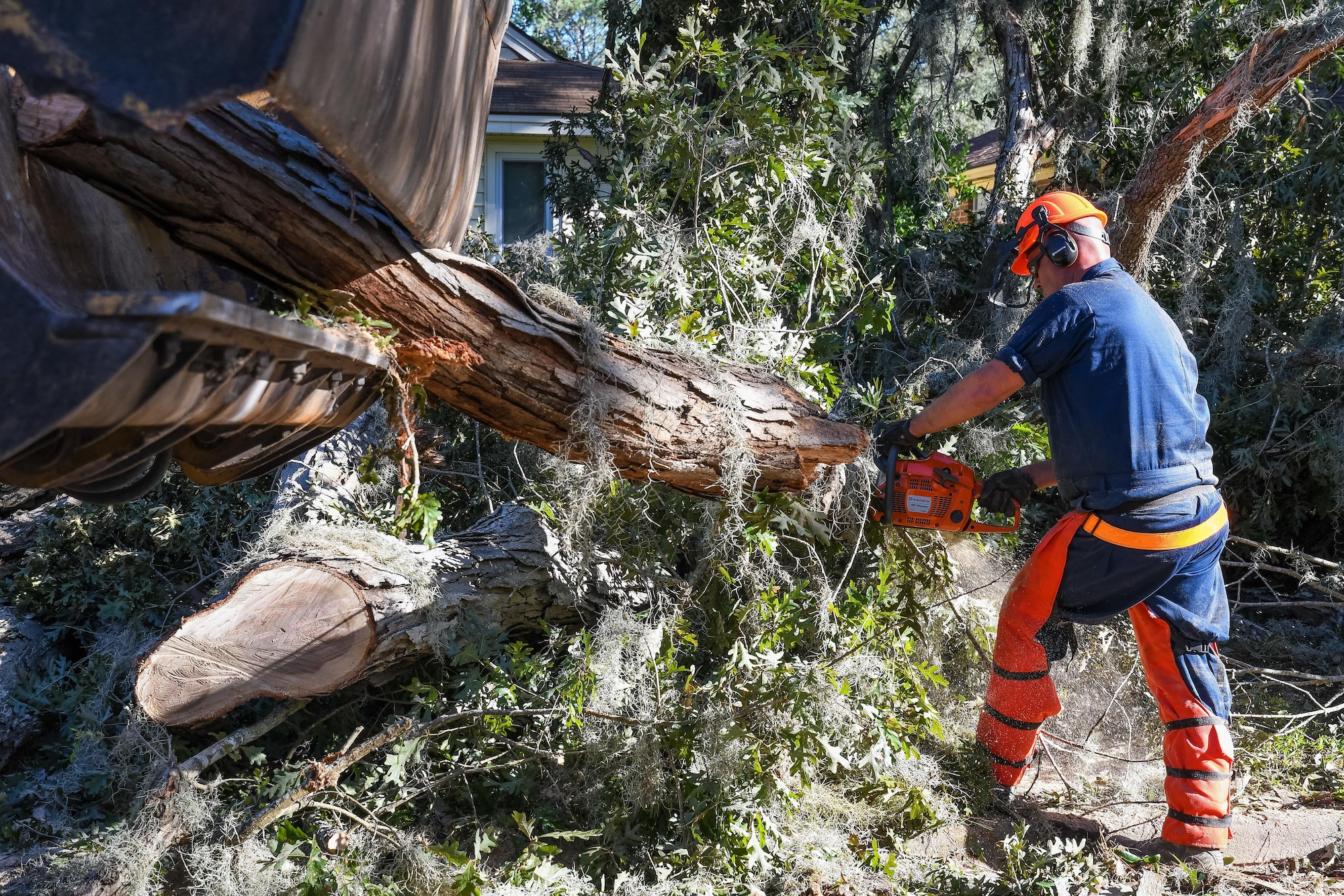 U.S. Air Force Staff Sgt. Jason Brashears, 116th Air Control Wing (ACW), Georgia Air National Guard, saws a fallen tree while clearing roads in the aftermath of Hurricane Matthew, Savannah, Ga., Oct. 9, 2016. Citizen Airmen from the 116th ACW deployed to Savannah to support civil authorities, are working along side the Chatham County Public Works department to assist in road clearing and debris cleanup operations. (U.S. Air National Guard photo by Senior Master Sgt. Roger Parsons)