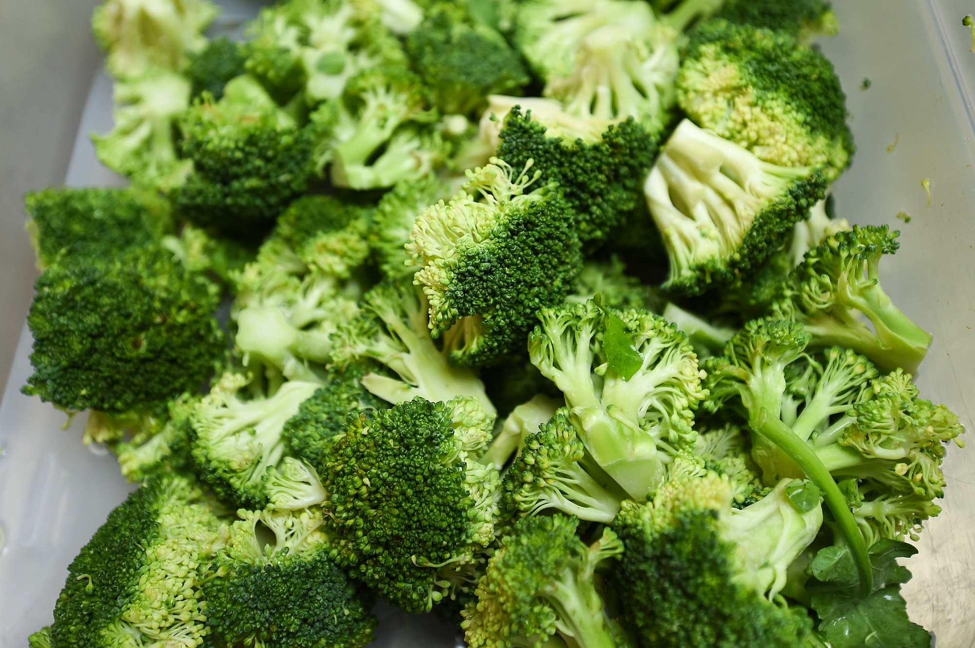 Broccoli is placed to the side after being prepared at Hurlburt Field, Fla., Oct. 13, 2016. Broccoli is one of the many vegetables prepared as a side dish at Hurlburt Field’s dining facilities. (U.S. Air Force photo by Senior Airman Jeff Parkinson)
