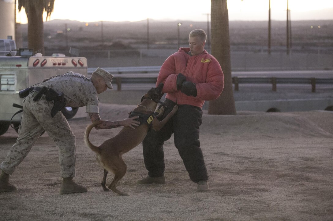 Cpl. Ryan Davis, military working dog handler, Provost Marshal’s Office, grabs Xxyliana, MWD, PMO, after she conducted a takedown on Lance Cpl. Preston Ford, MWD handler, PMO, during a demonstration as part of the Night Out Against Crime at Heritage Park aboard Marine Corps Air Ground Combat Center, Twentynine Palms, Calif., Oct. 5, 2016. (Official Marine Corps photo by Cpl. Thomas Mudd/Released)