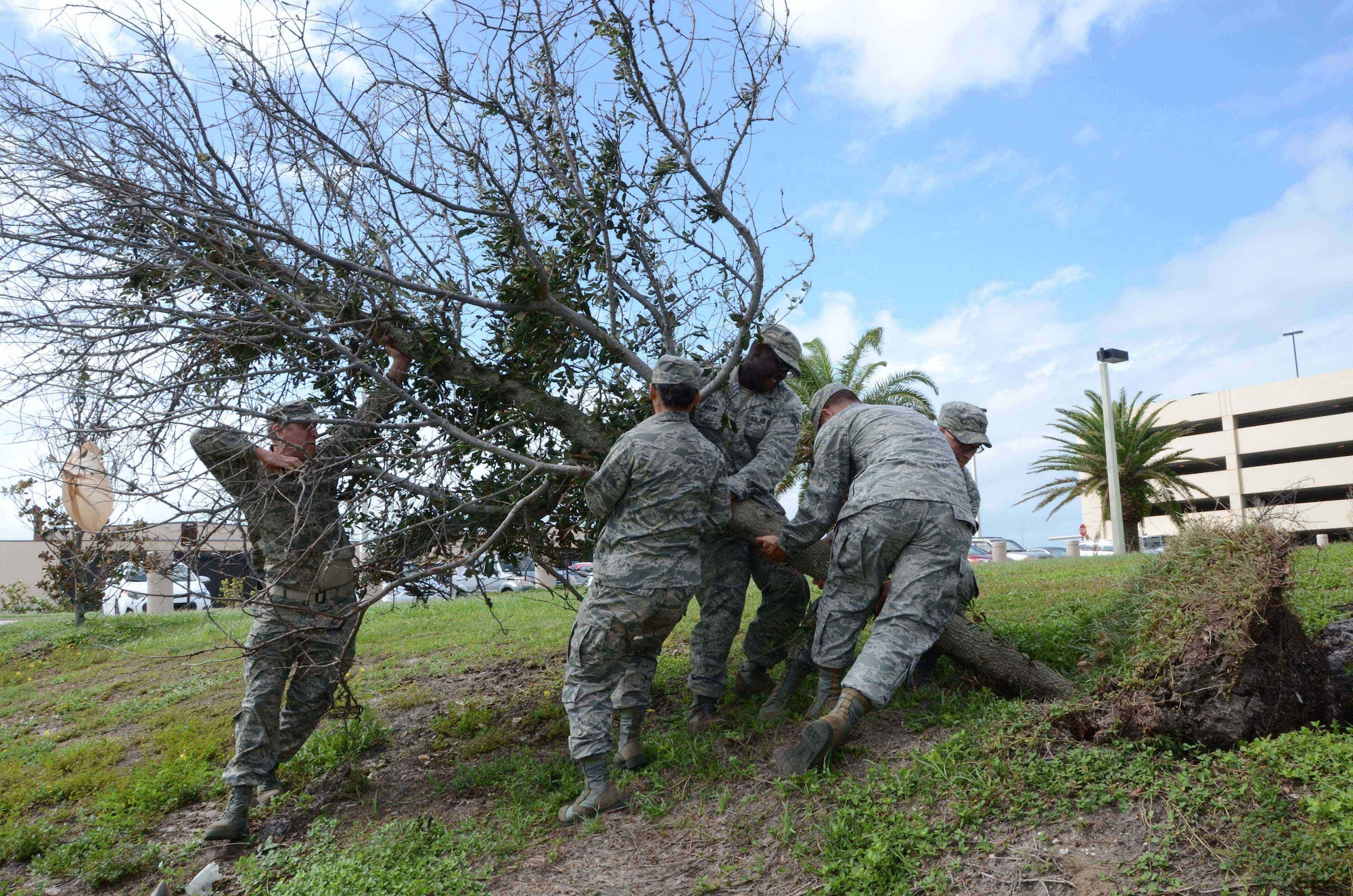 Photo of Airmen from the Air Force Technical Applications Center recovering a downed live oak tree after Hurricane Matthew