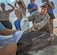 Patrick Air Force Base and Sea World personnel team up to help a  sick whale Sept. 7, which led Air Force Reservist Tech. Sgt. Bridget Gayden, 920th Rescue Wing Security Forces Airman, to become a Sea World volunteer to help sick animals.(U.S. Air Force photo Master Sgt. Paul Flipse)