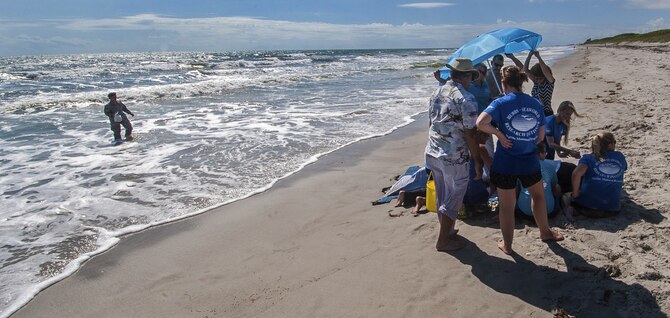 Patrick Air Force Base and Sea World personnel team up to help a  sick whale Sept. 7, which led Air Force Reservist Tech. Sgt. Bridget Gayden (shown standing in the surf), 920th Rescue Wing Security Forces Airman, to become a Sea World volunteer to help sick animals.(U.S. Air Force photo Master Sgt. Paul Flipse)