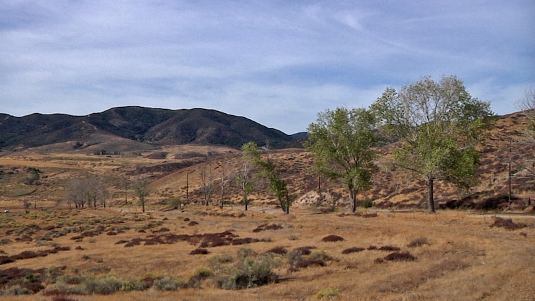 Petersen Ranch Mitigation Ranch celebrated its grand opening Oct. 7 in Leona Valley, California. Restoration work is already underway on the mitigation bank, a nearly 4000 acre restoration and protection project in northern Los Angeles County.