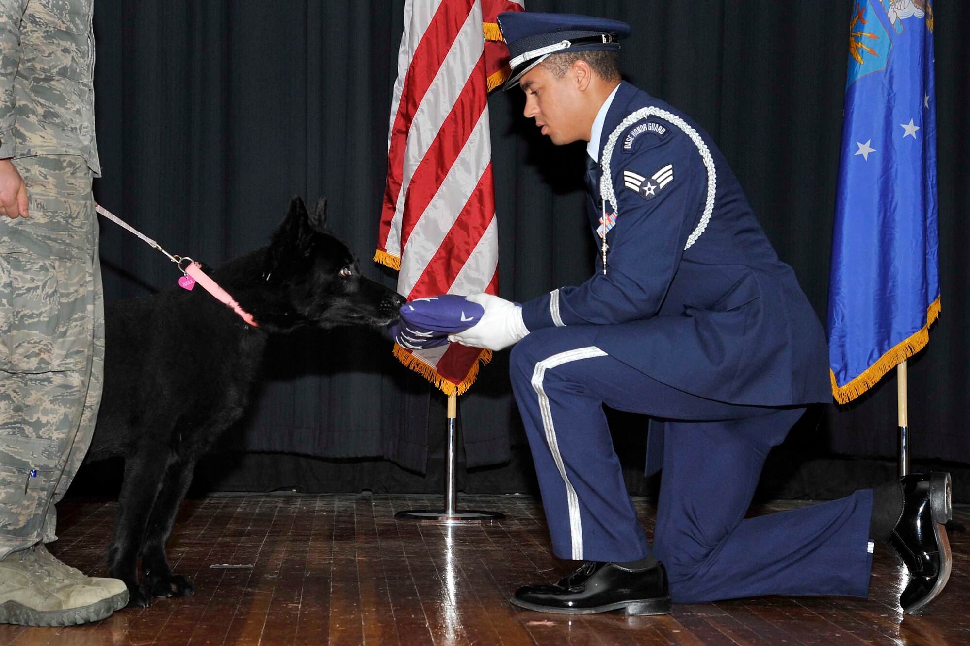 Djule, a recently retired military working dog, is presented with a folded U.S. flag by a member of McConnell’s honor guard at her retirement ceremony Oct. 14, 2016, at McConnell Air Force Base, Kan. Djule served 62 dog years in the Air Force and will continue life in retirement as a household pet. (U.S. Air Force photo/Airman Erin McClellan)