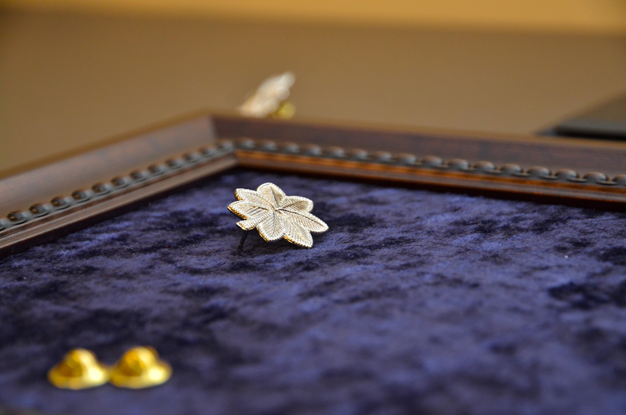 Lieutenant Colonel (Lt. Col.) is the second Field Officer rank in the United States Air Force. It ranks just above major and below colonel. The rank insignia of a lieutenant colonel is the same as a major, but the oak leaf is silver instead of gold. (U.S. Air Force photo by Senior Airman Lauren Douglas)