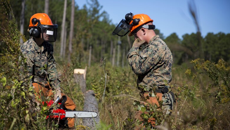 Corporal Bailey Smith and Lance Cpl. Austin Bisset take a moment to assess how to continue cutting a recently felled tree at Marine Corps Base Camp Lejeune, N.C., Oct. 13, 2016. Marines with Bridge Company, 8th Engineer Support Battalion took part in a chainsaw licensing class where they received hands-on experience in proper cutting techniques and chainsaw safety. The class ensures that the unit always has Marines available who can help cut away various obstructions threatening mission accomplishment. 