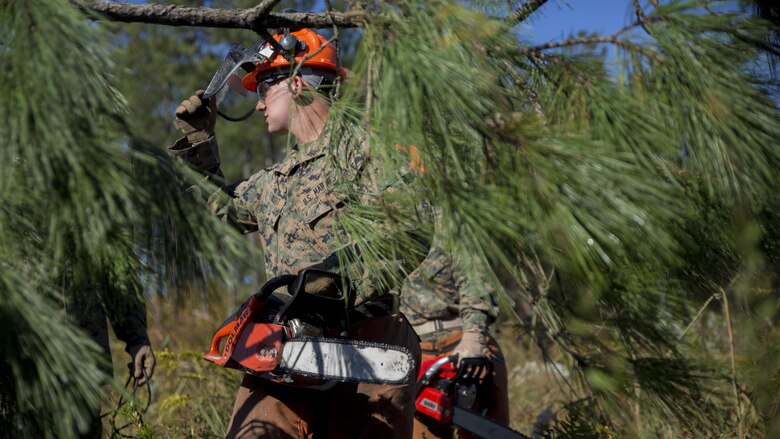 Lance Cpl. Austin Bisset gives his chainsaw a rest after cutting a fell tree into pieces, at Marine Corps Base Camp Lejeune, N.C., Oct. 13, 2016. Marines with Bridge Company, 8th Engineer Support Battalion took part in a chainsaw licensing class where they received hands-on experience in proper cutting techniques and chainsaw safety. The class ensures that the unit always has Marines available who can help cut away various obstructions threatening mission accomplishment. 