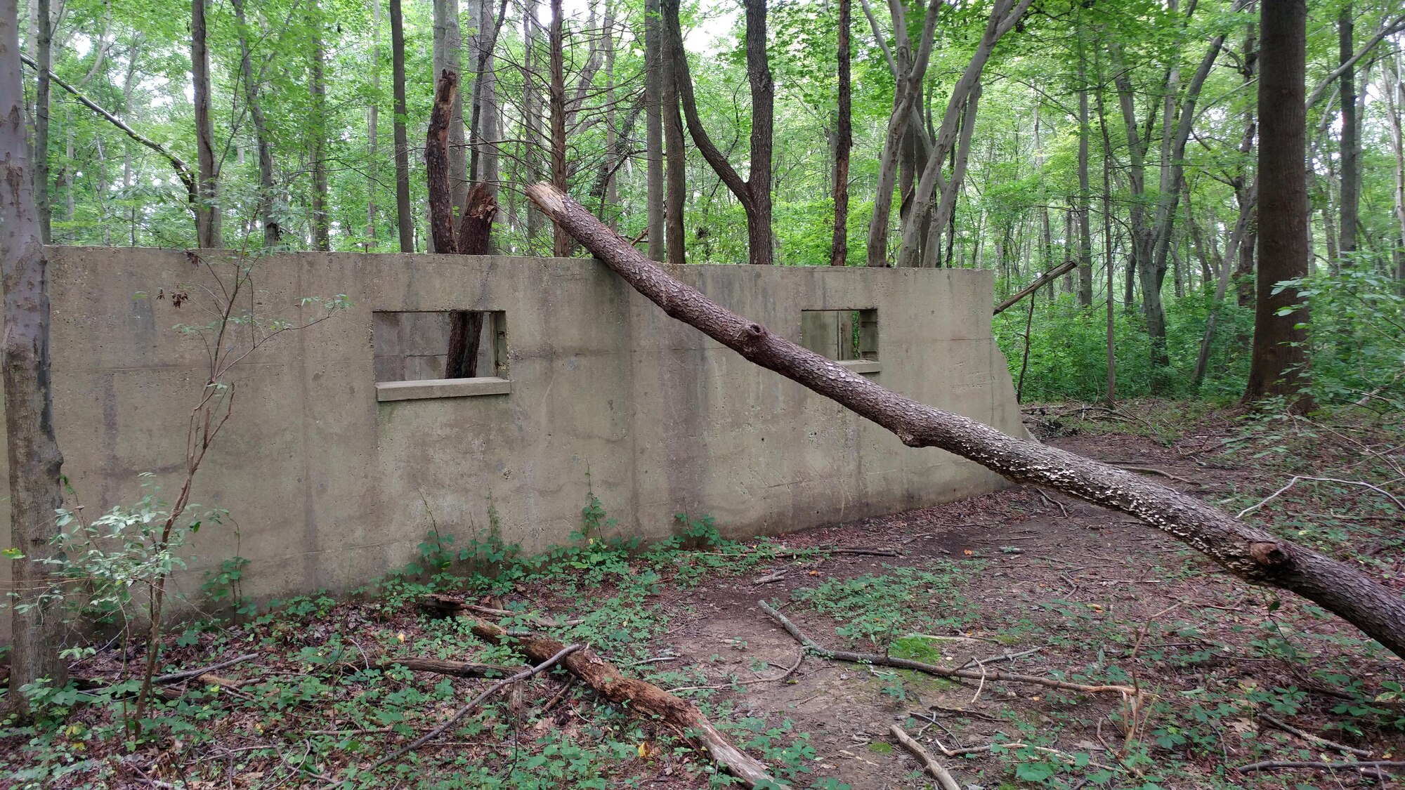 Before: The remains of the Army Air Corps World War II Headquarters building stand in Bombay Hook National Wildlife Refuge, Del., Oct. 7, 2016. The building, which is located approximately 10 miles from Dover Air Force Base, is all that remains of the wartime Army Air Corps’ presence. (Courtesy photo)