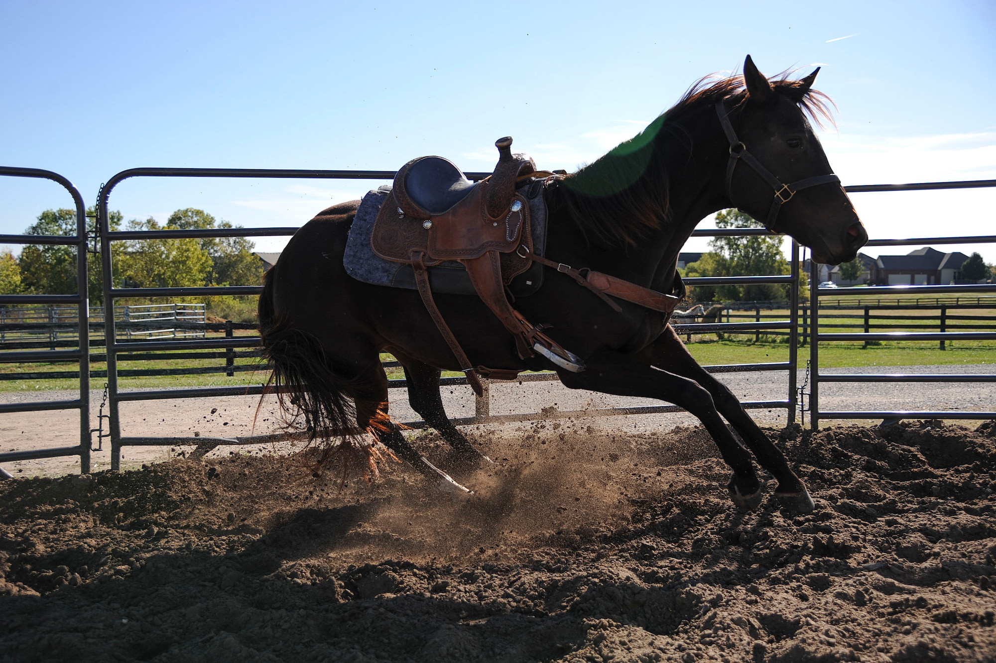 Tiz, a 4 year old off-the-track throughbred, changes directions upon command from her owner, Airman 1st Class Lauren Nolan, 22nd Logistics Readiness Squadron materials management journeyman, Oct. 13, 2016, in Wichita, Kan. Nolan works with her to train for barrel racing competitions.  (U.S. Air Force photo/ Airman 1st Class Jenna K. Caldwell) 